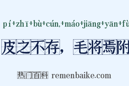皮之不存，毛将焉附是什么意思的图片